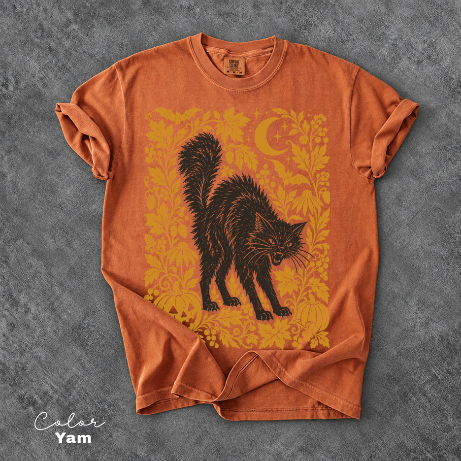 Black Cat Halloween Shirt, Witchy Graphic Tee, Fall Pumpkin T-Shirt, Vintage Spooky Season