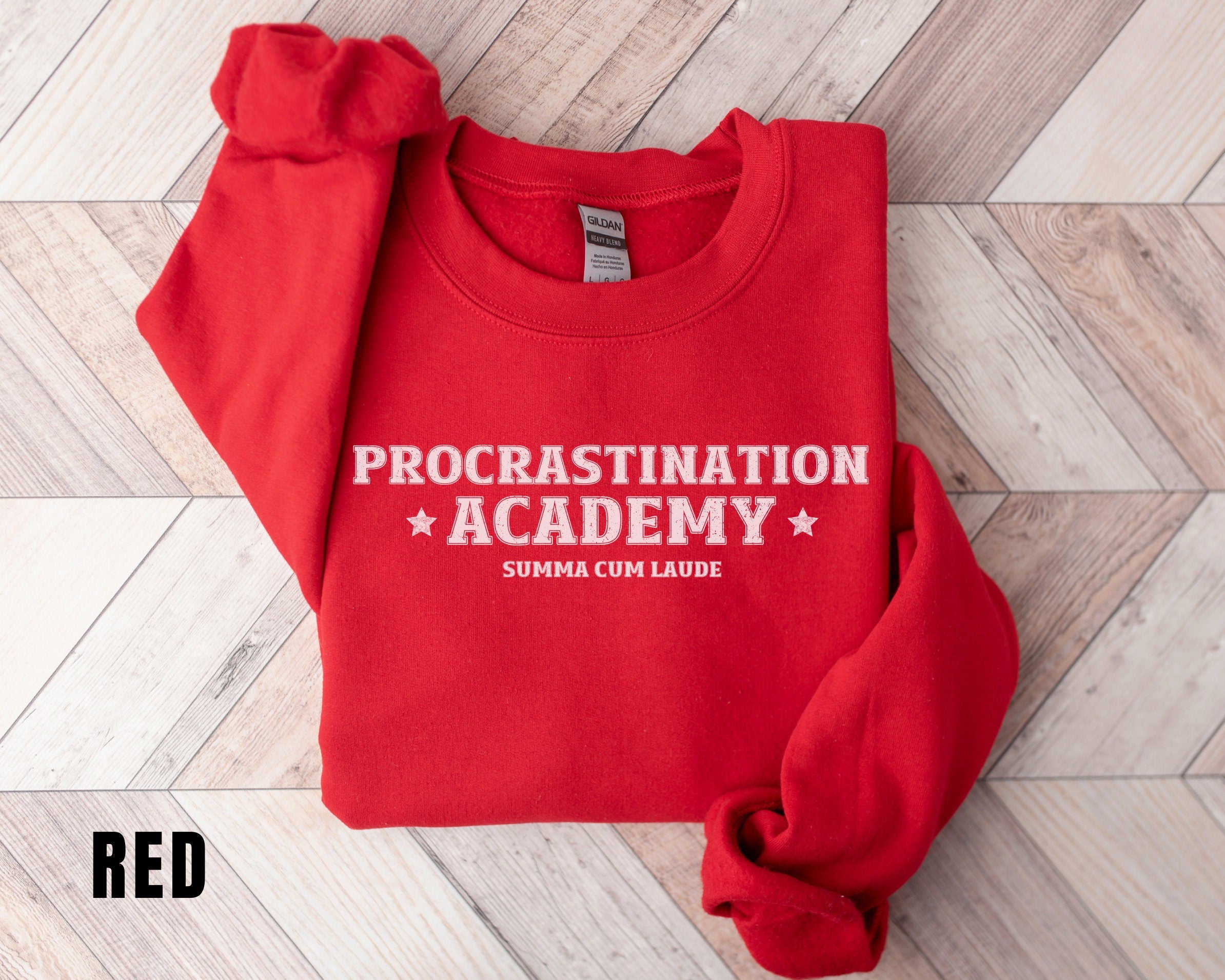 Procrastination Academy Funny Sweatshirt Honors Student Funny Sweater Gag Gift Funny women's Crewneck Sweater Oversized Sweatshirt