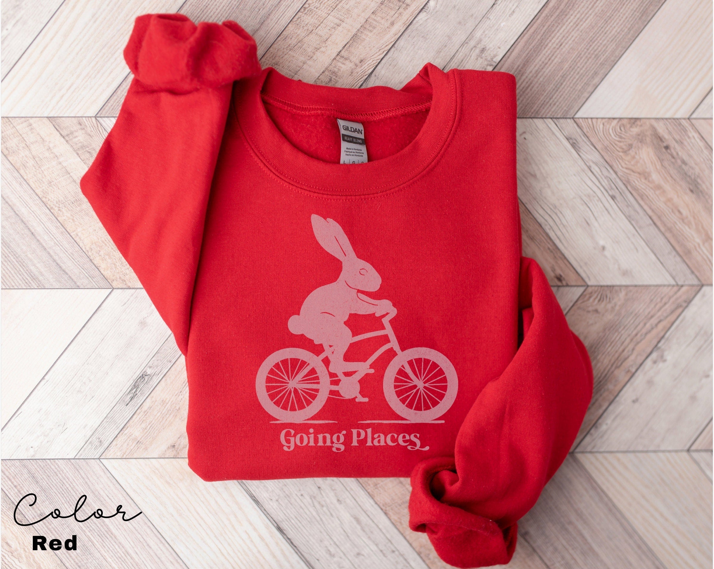 Motivational Sweatshirt, Bunny Rabbit Bike, Positive Saying Shirt, Bunny Rabbit Bike, Easter Sweater, Self Love Inspirational, Going Places
