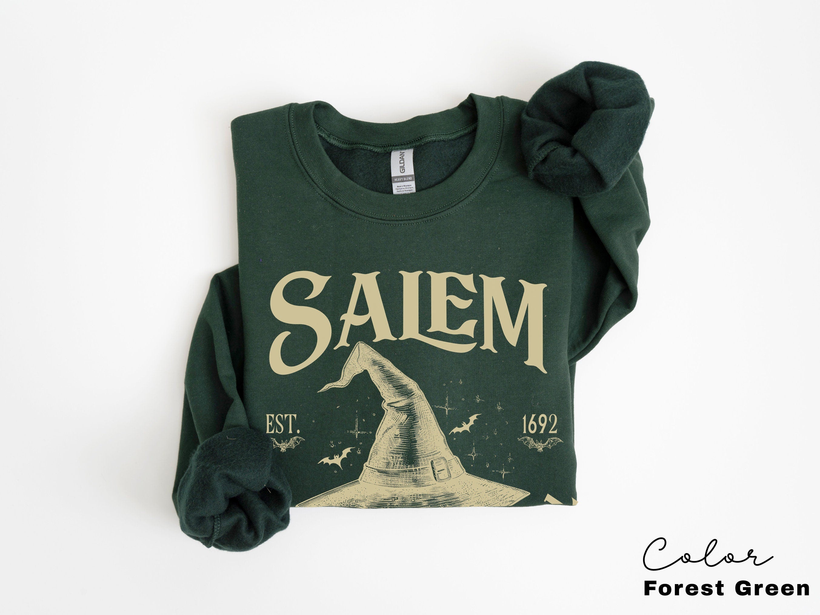 Salem Witch Sweatshirt, Halloween Witch Shirt, 1692 Witch Shirt, Witchery School, Massachusetts, Halloween Witchy Vibes, They Missed One
