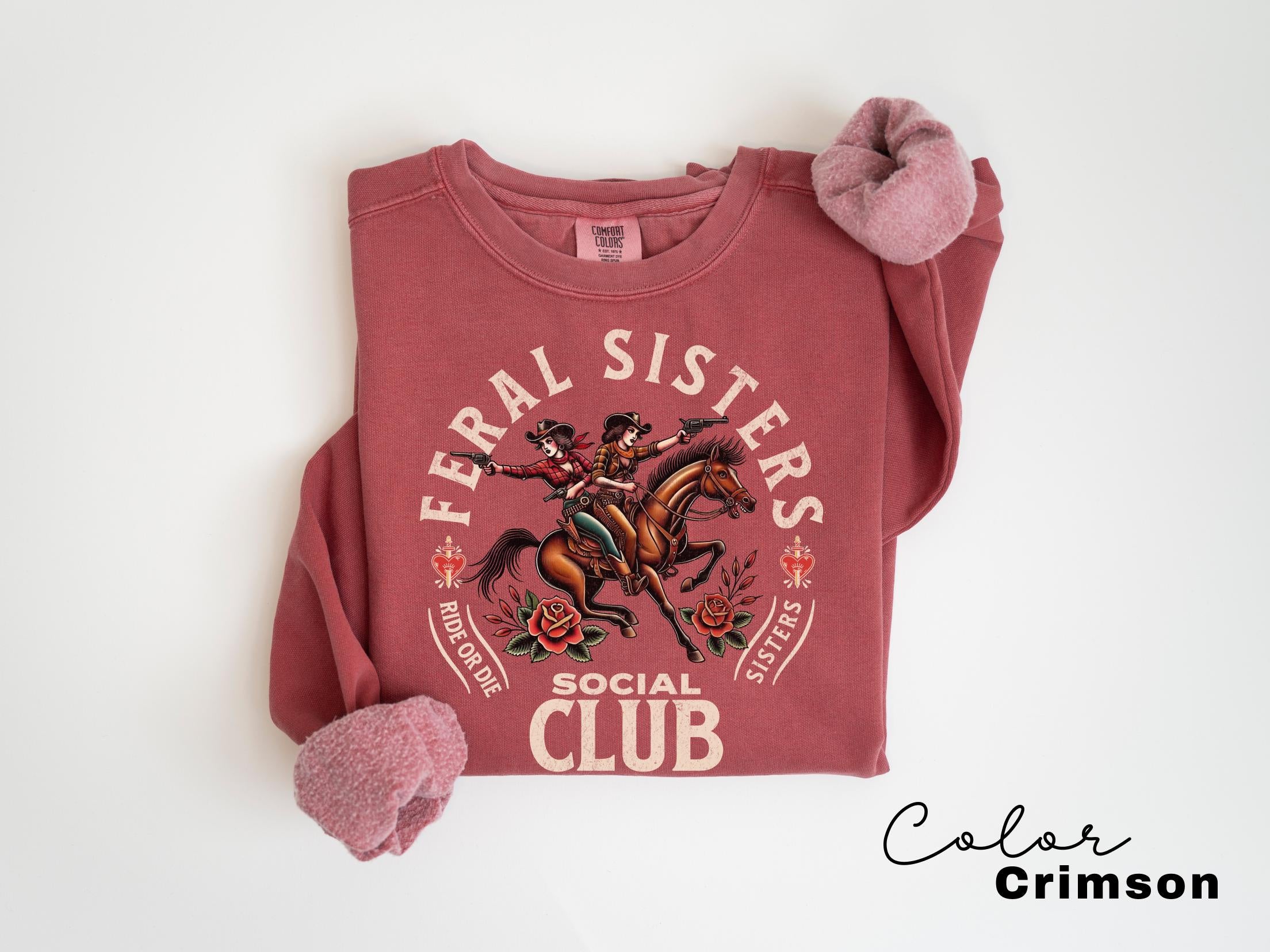 Feral Sisters Social Club Sweatshirt, Funny Sister Gift, Rider or Die, Gifts For Sisters, Siblings, Besties, Big Little Sister, Crewneck