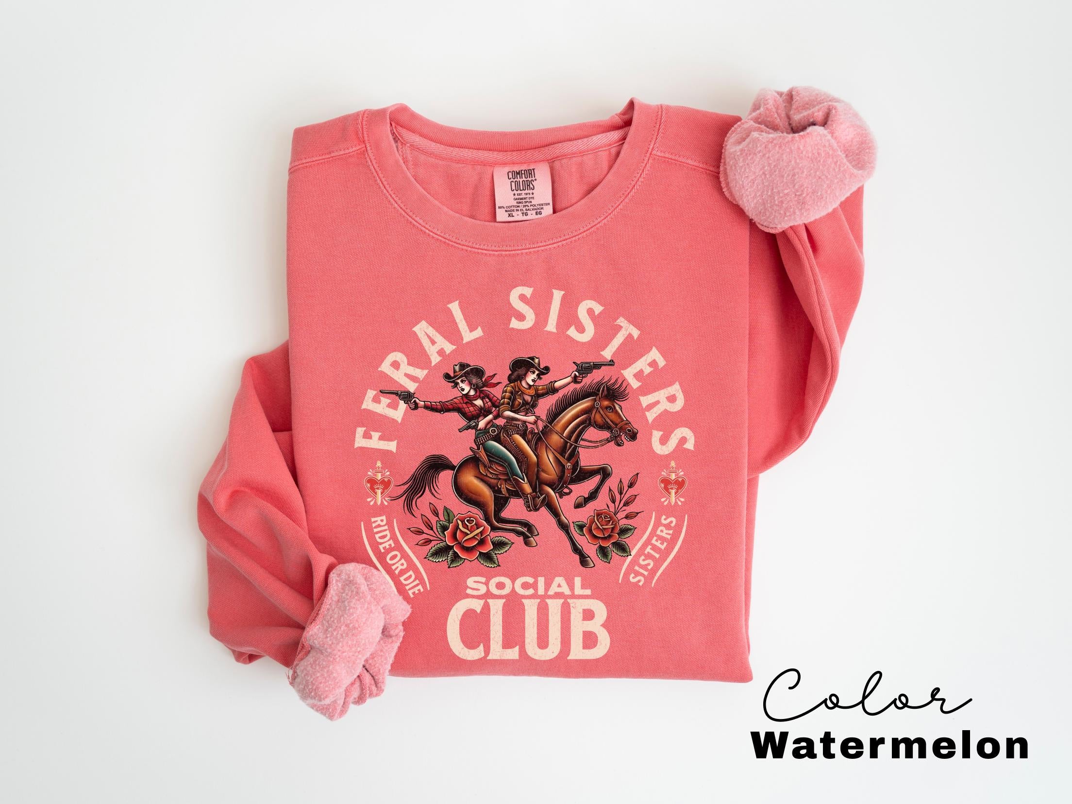 Feral Sisters Social Club Sweatshirt, Funny Sister Gift, Rider or Die, Gifts For Sisters, Siblings, Besties, Big Little Sister, Crewneck