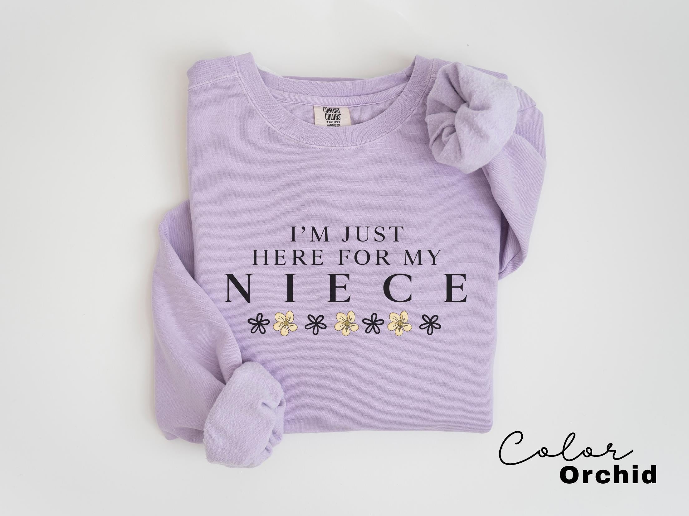 Im Just Here For My Niece Sweatshirt, Niece Sweatshirt, Gift For Aunt, New Future Aunt, New Aunt Gift, Pregnancy Announcement Reveal to Aunt