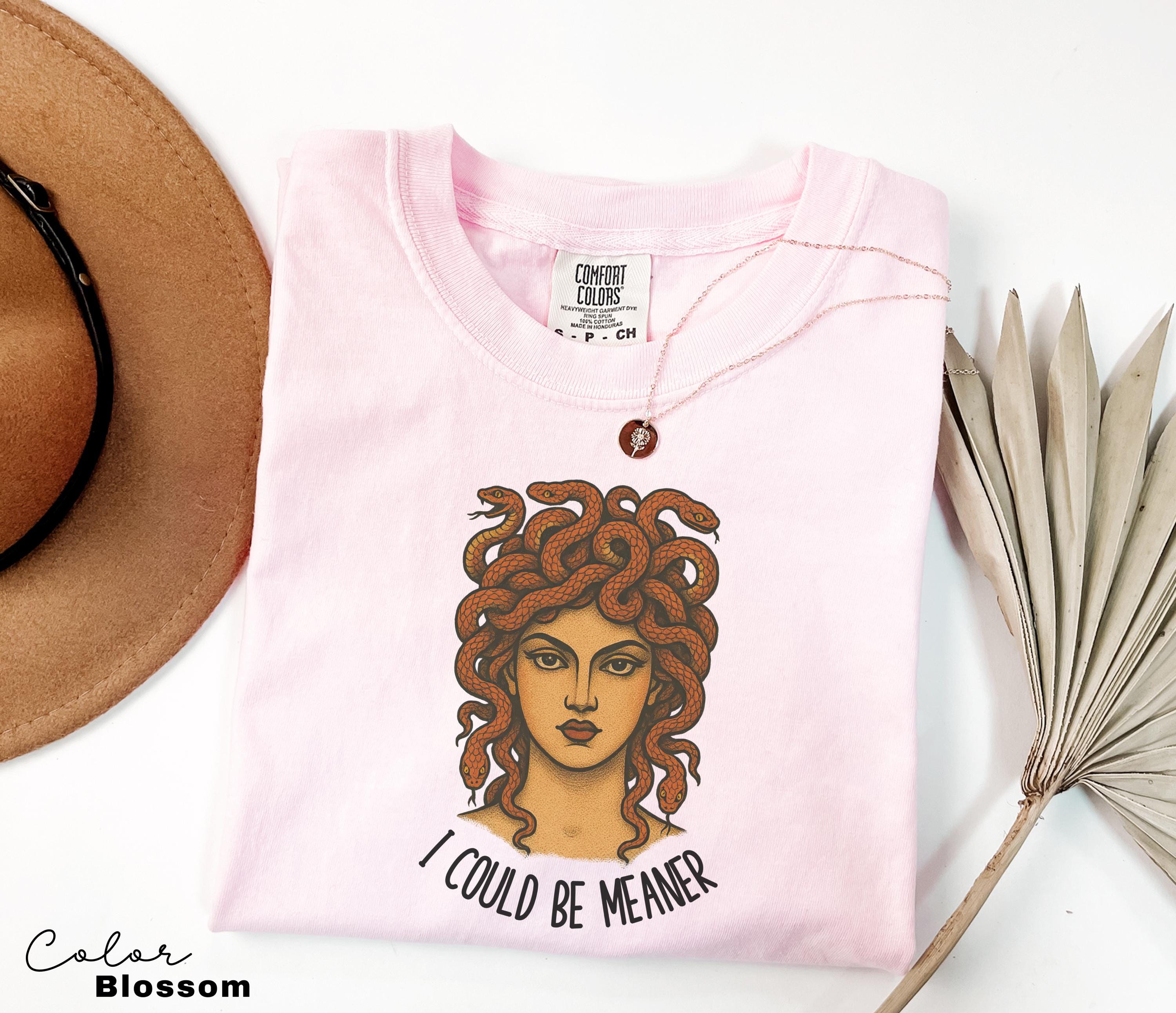 I Could Be Meaner Shirt, Medusa Funny Humor Shirt, Sarcastic Shirt, Feminist Shirt, Women's Empowerment Shirt, Comfort Colors, Retro T-shirt