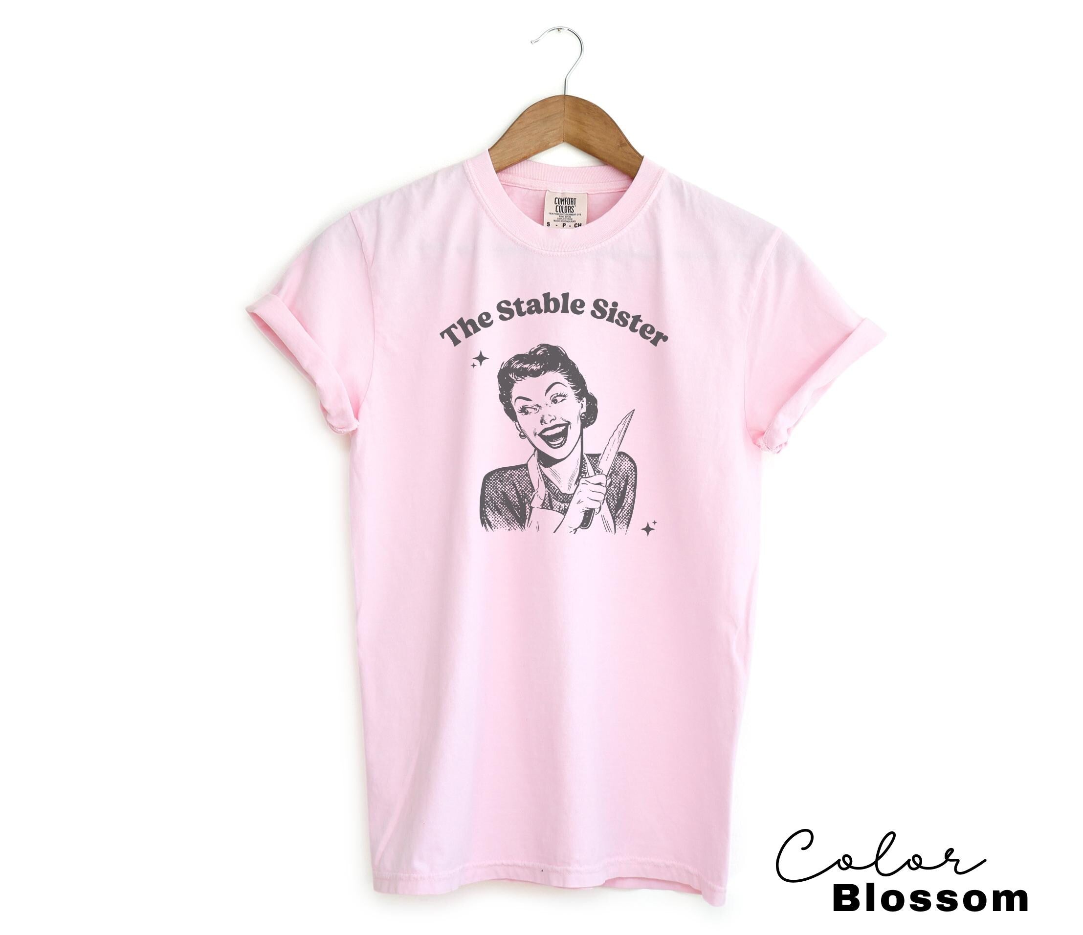 Funny Sister Shirt, Stable Sister Sweatshirt, Big Sister tshirt, Little Sisters Gift, Gifts For Sister, Big Sister, Sarcastic, Unhinged