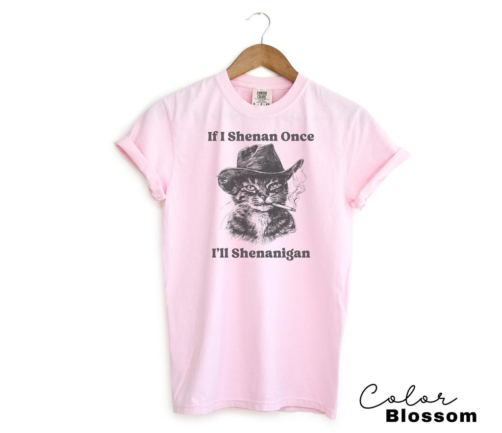 If I Shenan Once I'll Shenanigan Cat Shirt, Funny Unhinged Cat Mom T-shirt, Humorous Meme Shirt, Smoking Cat