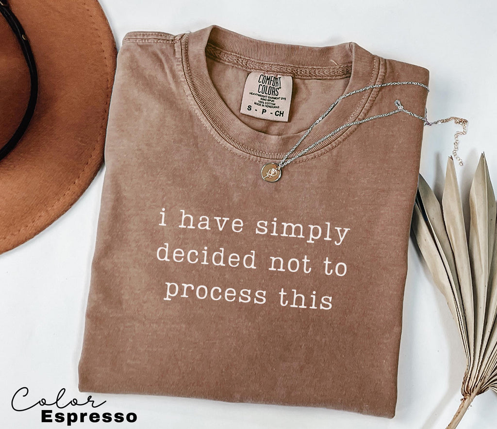 Not Processing This Shirt, Funny Mental Health, Sarcastic Humor Tee, Funny Meme Shirt, Relatable Humor Shirt, Chaotic Humor Tee,