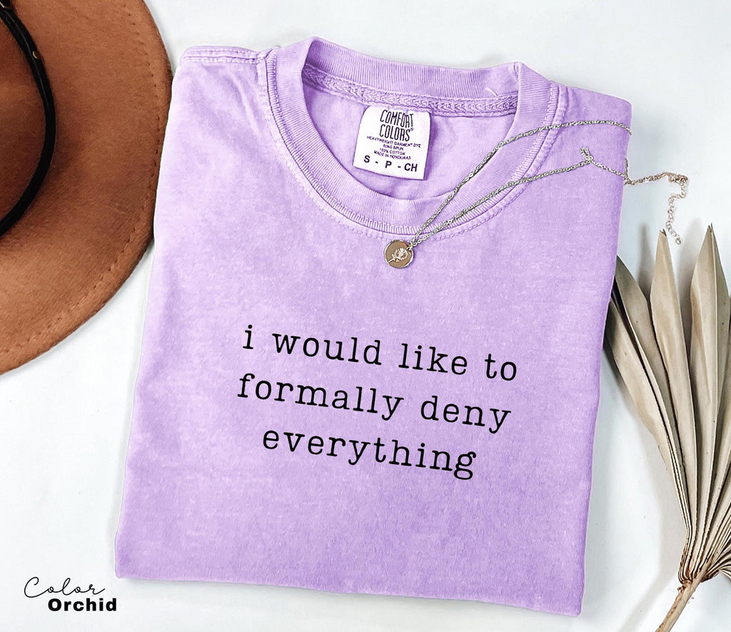 Comfort Colors Deny Everything Shirt, Sarcastic Humor Tee, Funny Meme Shirt, Witty Quote Shirt, Chaotic Humor Shirt, Relatable Humor Tee,