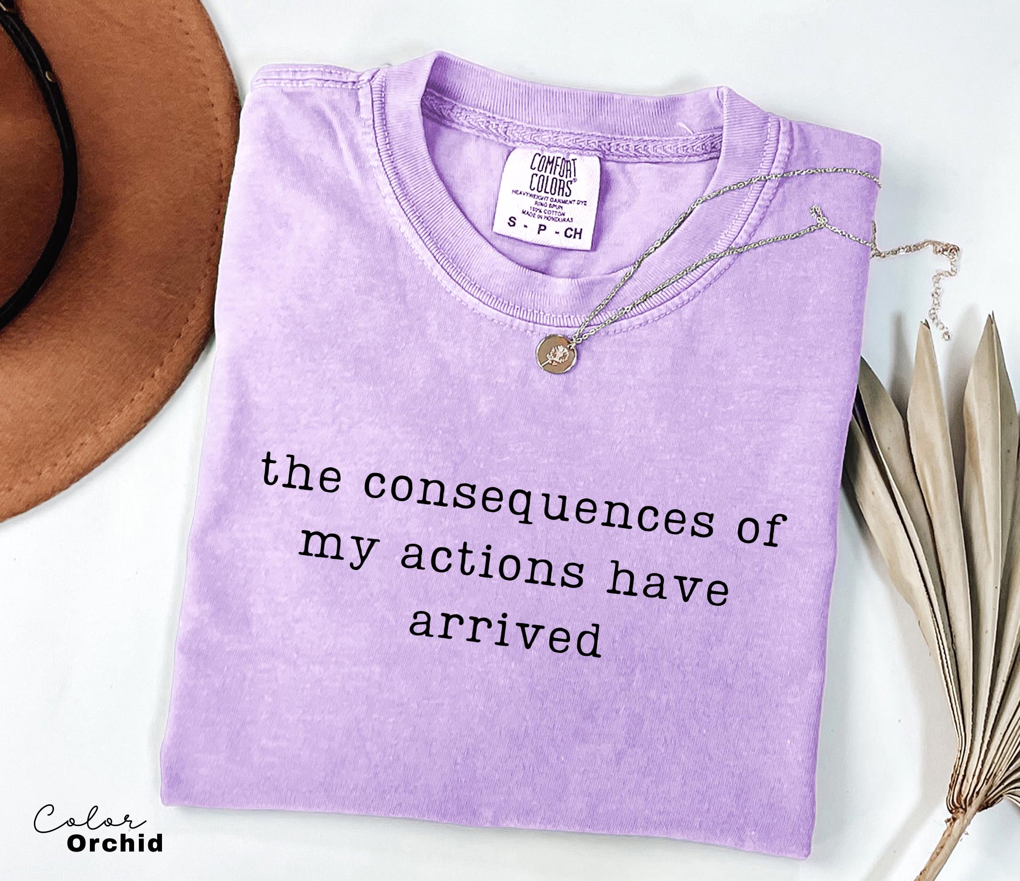 Comfort Colors Consequences Humor Shirt, Sarcastic Quote Tee, Funny Meme Shirt, Chaotic Humor Shirt, Relatable Humor Tee, Unhinged Humor