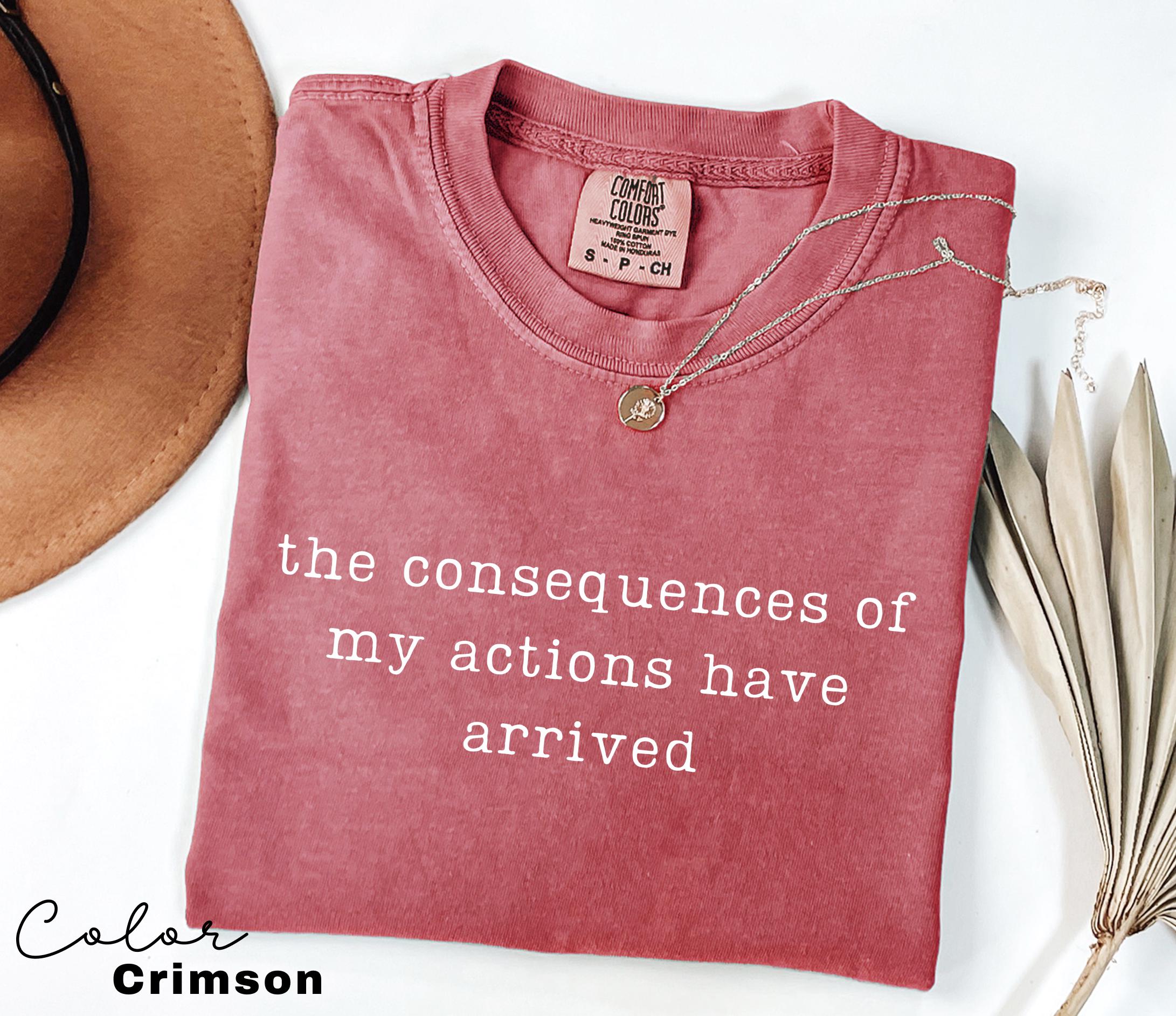 Comfort Colors Consequences Humor Shirt, Sarcastic Quote Tee, Funny Meme Shirt, Chaotic Humor Shirt, Relatable Humor Tee, Unhinged Humor