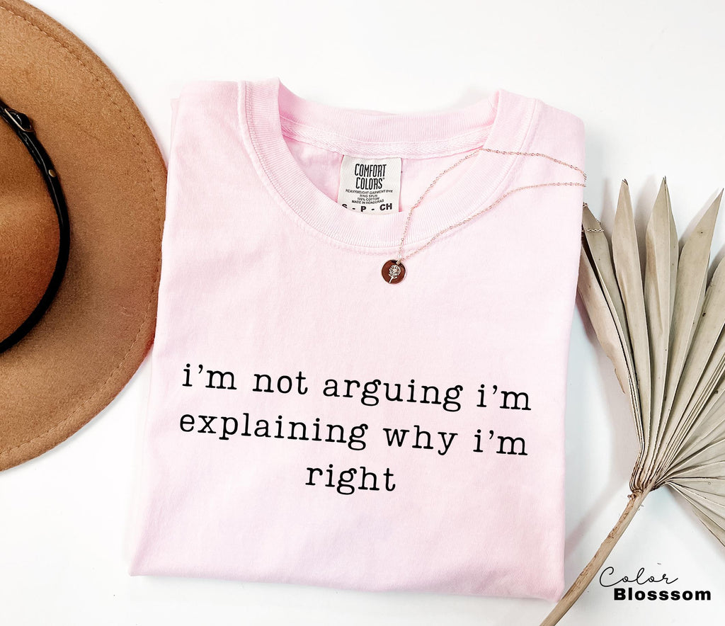 Explaining Why Im Right, Funny Saying Shirt, Sarcastic Humor Tee, Funny Meme Shirt, Witty Quote Shirt, Attitude Humor Shirt, Sarcastic