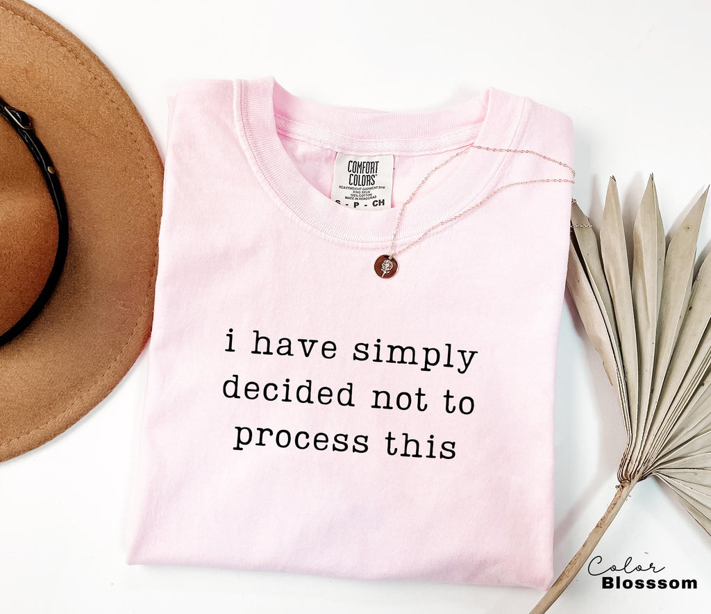 Not Processing This Shirt, Funny Mental Health, Sarcastic Humor Tee, Funny Meme Shirt, Relatable Humor Shirt, Chaotic Humor Tee,