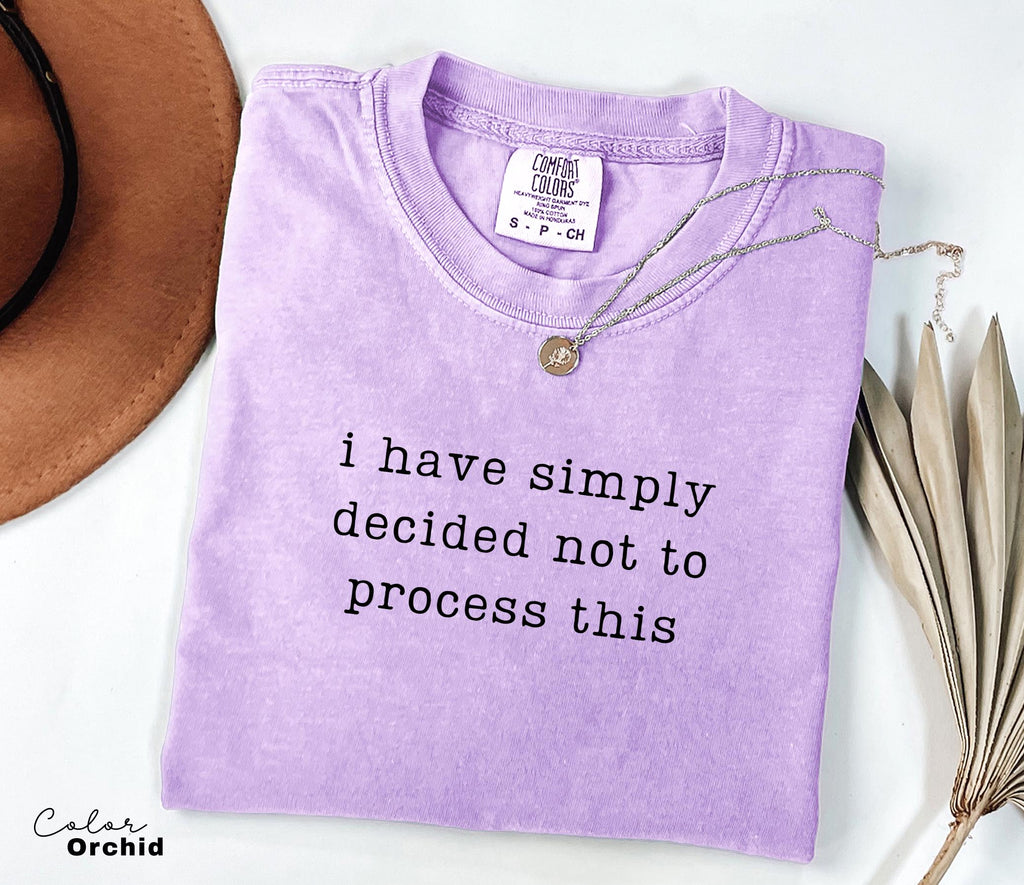 Not Processing This Shirt, Funny Mental Health, Sarcastic Humor Tee, Funny Meme Shirt, Relatable Humor Shirt, Chaotic Humor Tee,