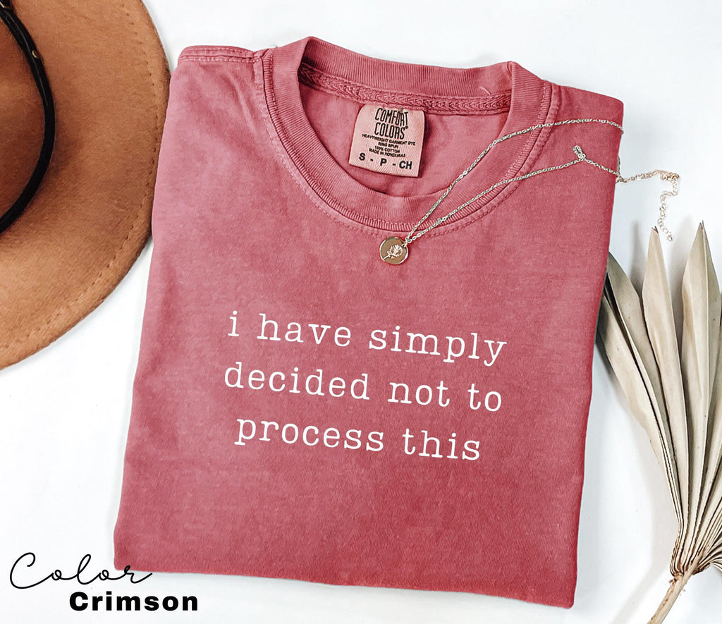Not Processing This Shirt, Funny Mental Health, Sarcastic Humor Tee, Funny Meme Shirt, Relatable Humor Shirt, Chaotic Humor Tee,