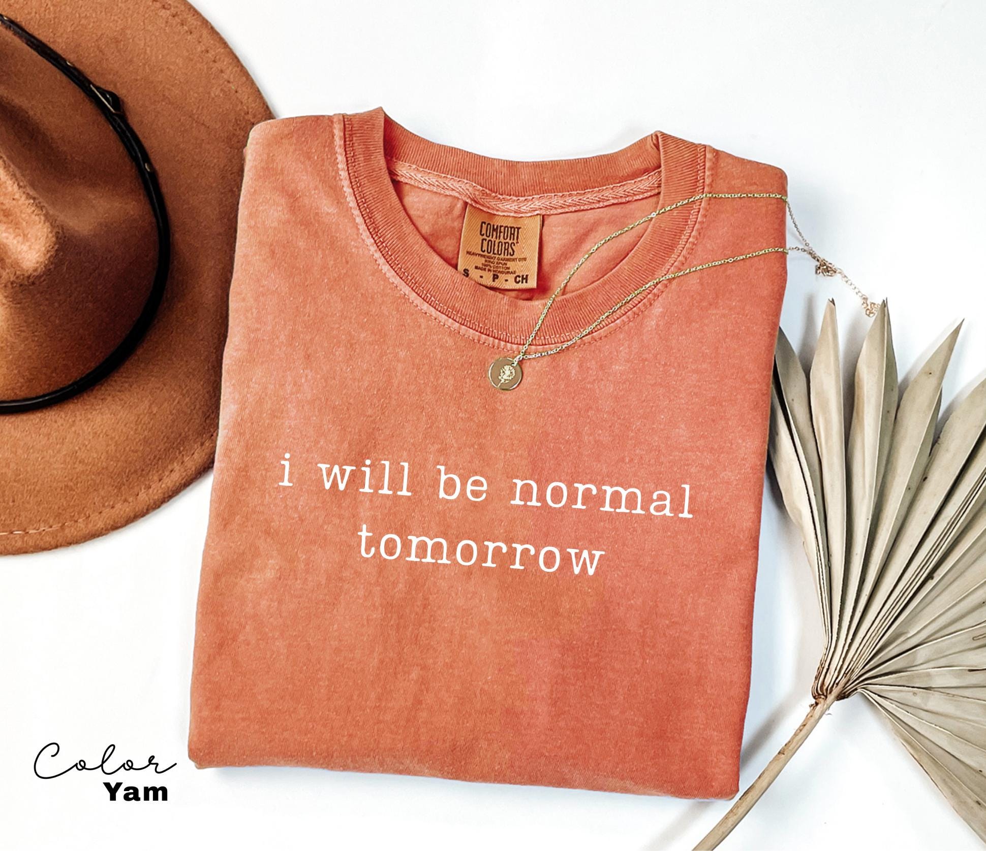 Comfort Colors Sarcastic Humor, I will be Normal Tomorrow, Funny Meme Shirt, Chaotic Humor Tee, Relatable Humor Shirt, Funny Quote Shirt,
