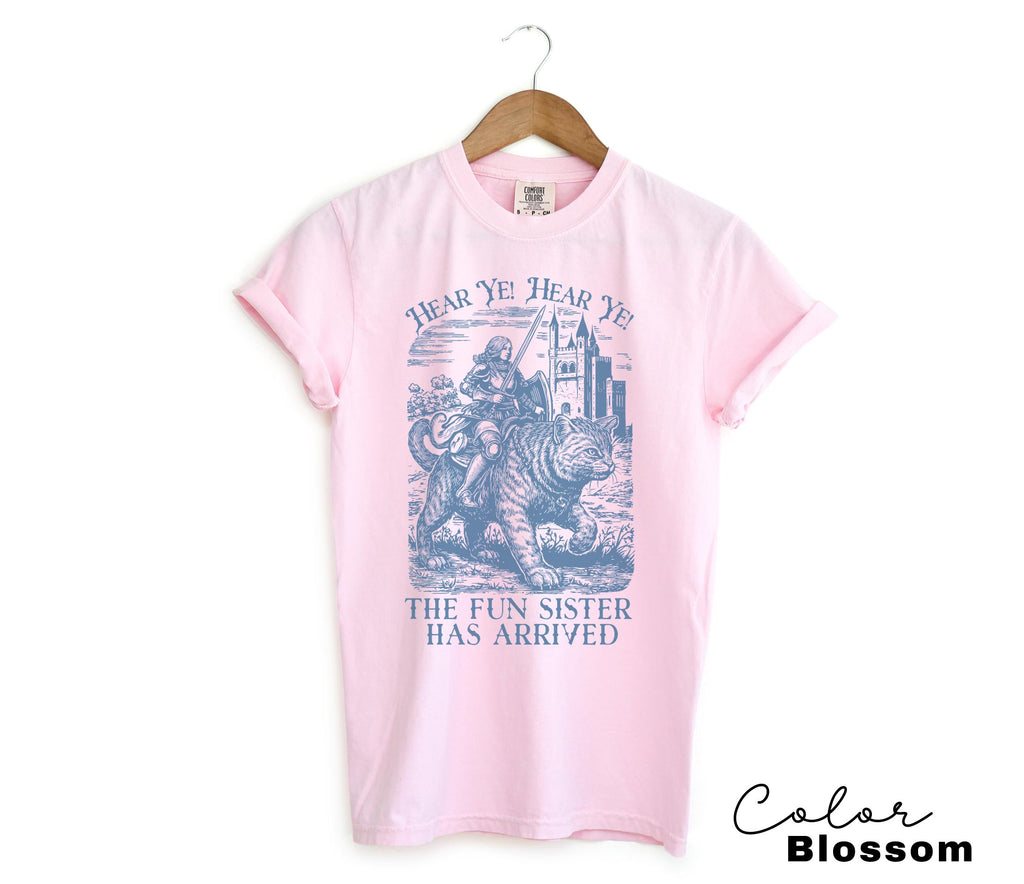 Funny Sister Shirt Knight Cat Shirt, the Fun Sister, Big Sister tshirt, Little Sisters Gift, Gifts For Sister, Sarcastic Saying