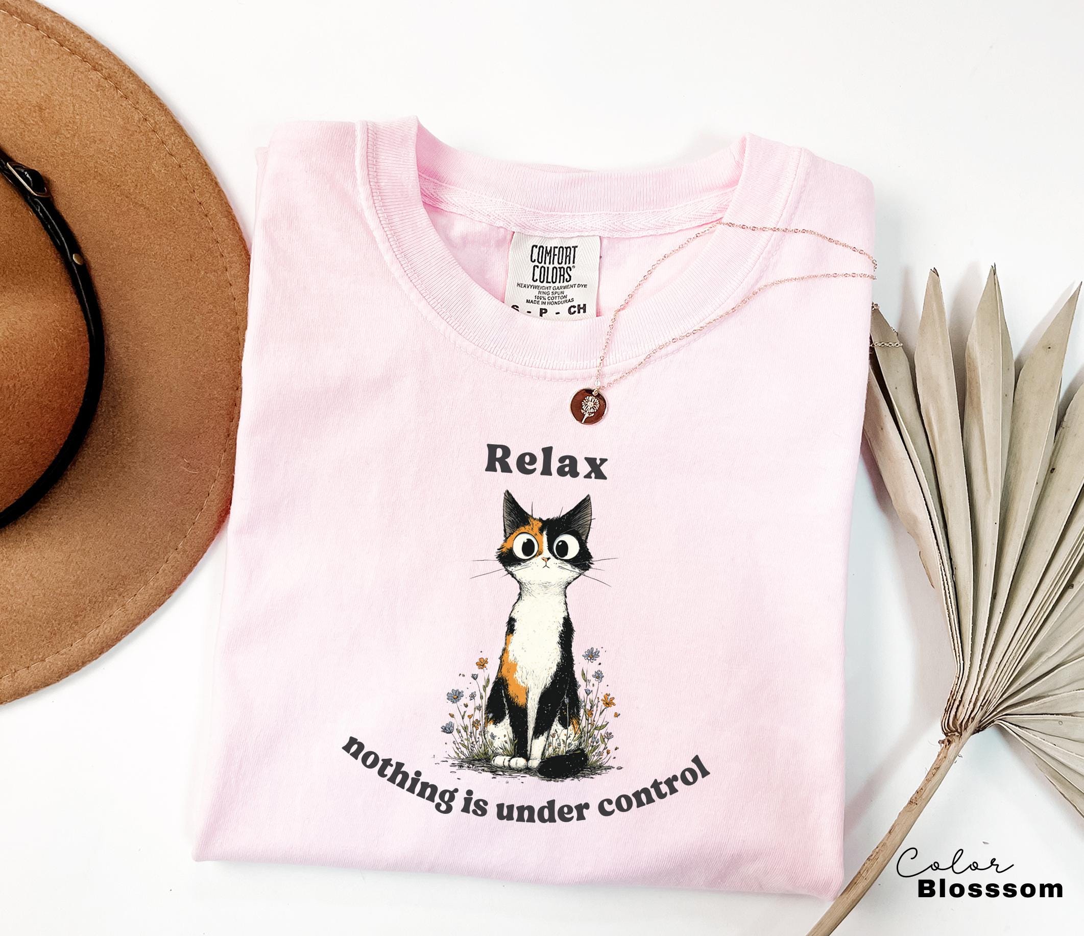 Funny Mental Health Cat Shirt, Nothing is in Control, Cute Cat Meme T-Shirt, Funny Sarcastic Kitten Tee, Comfort Colors