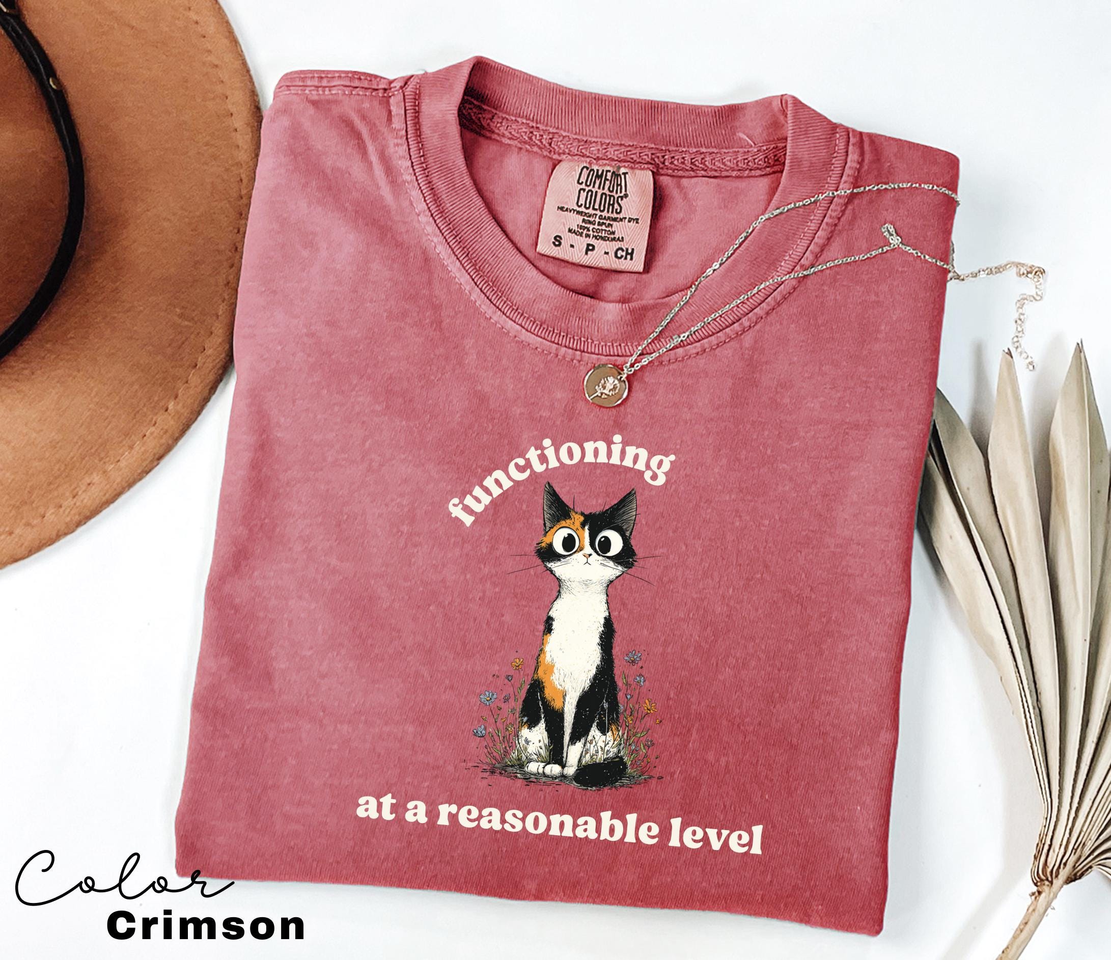 Funny Mental Health Cat Shirt, Functioning at a Reasonable Level, Cute Cat Meme T-Shirt, Funny Sarcastic Kitten Tee, Comfort Colors