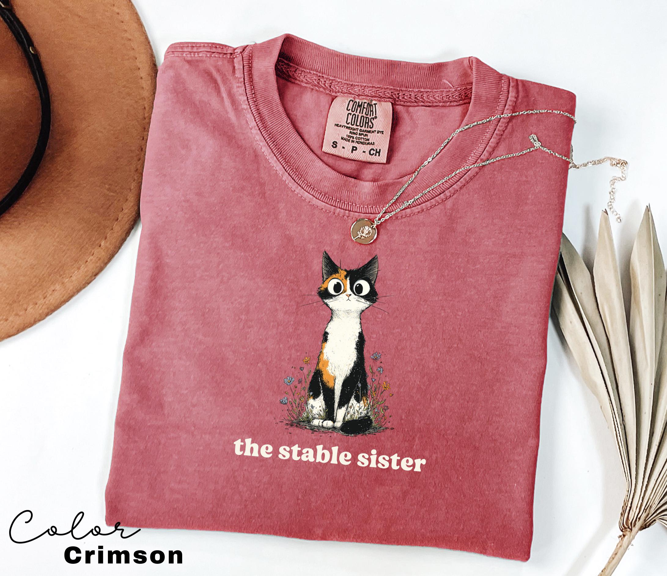 Funny Mental Health Cat Shirt, Stable Sister Shirt, Cute Cat Meme T-Shirt, Funny Sarcastic Kitten Tee, Comfort Colors