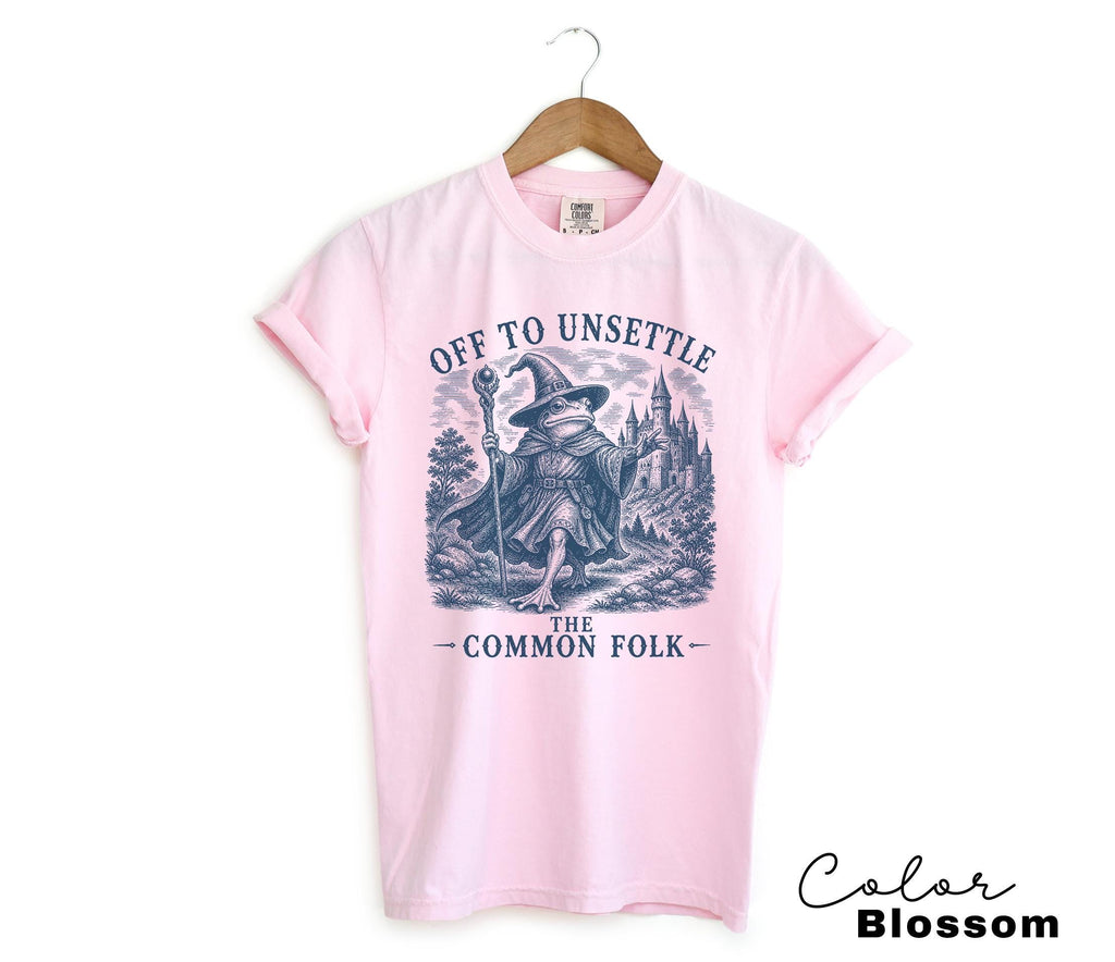 Funny Frog Sweatshirt, Unsettle The Common Folk Shirt, Goblincore Wizard Tee, Comfort Colors Chaotic Shirt, Chaotic Frog